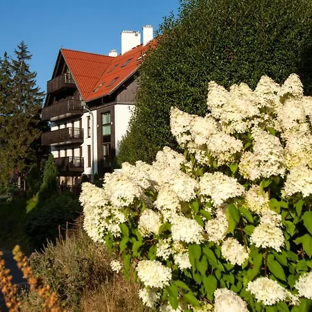 Panorama Gor - Centrum Miasta, Z Widokiem Na Szrenice * Szklarska Poręba
