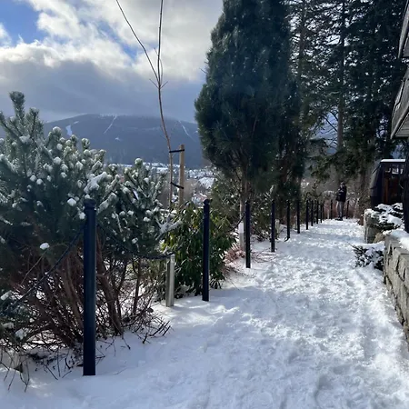 Panorama Gor - Centrum Miasta, Z Widokiem Na Szrenice * Szklarska Poręba
