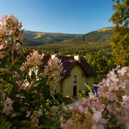 Panorama Gor - Centrum Miasta, Z Widokiem Na Szrenice * Szklarska Poręba