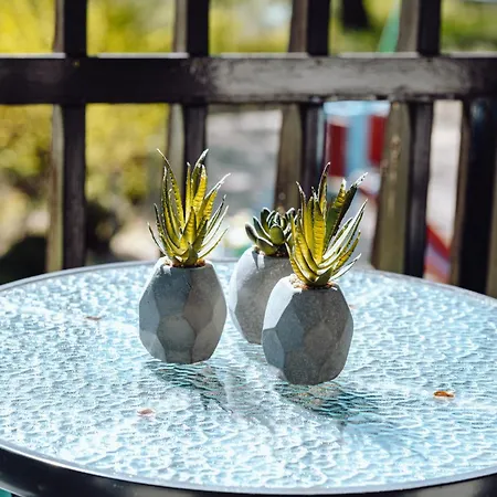 Panorama Gor - Centrum Miasta, Z Widokiem Na Szrenice Appartement