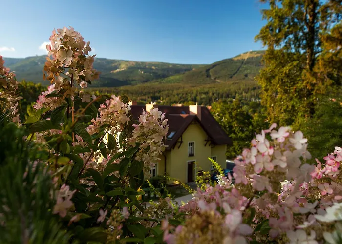 Panorama Gor - Centrum Miasta, Z Widokiem Na Szrenice * Шклярска-Поремба