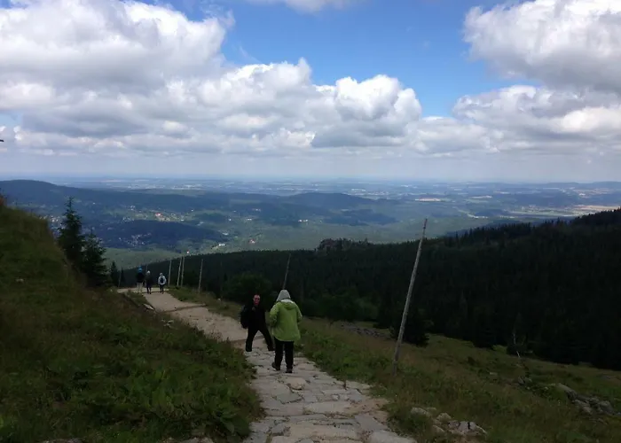 Panorama Gor - Centrum Miasta, Z Widokiem Na Szrenice Шклярска-Поремба