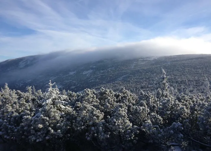 Panorama Gor - Centrum Miasta, Z Widokiem Na Szrenice Апартаменты *